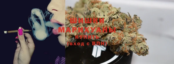 сатива Зеленокумск