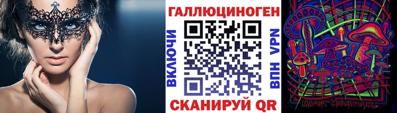 блэк спрут рабочий сайт  Братск  Галлюциногенные грибы Psilocybe 